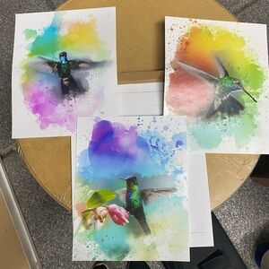 Three 8 x 10 Hummingbird Prints